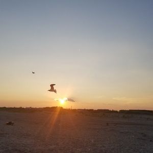 Meet your Posher, Dafiht antonio